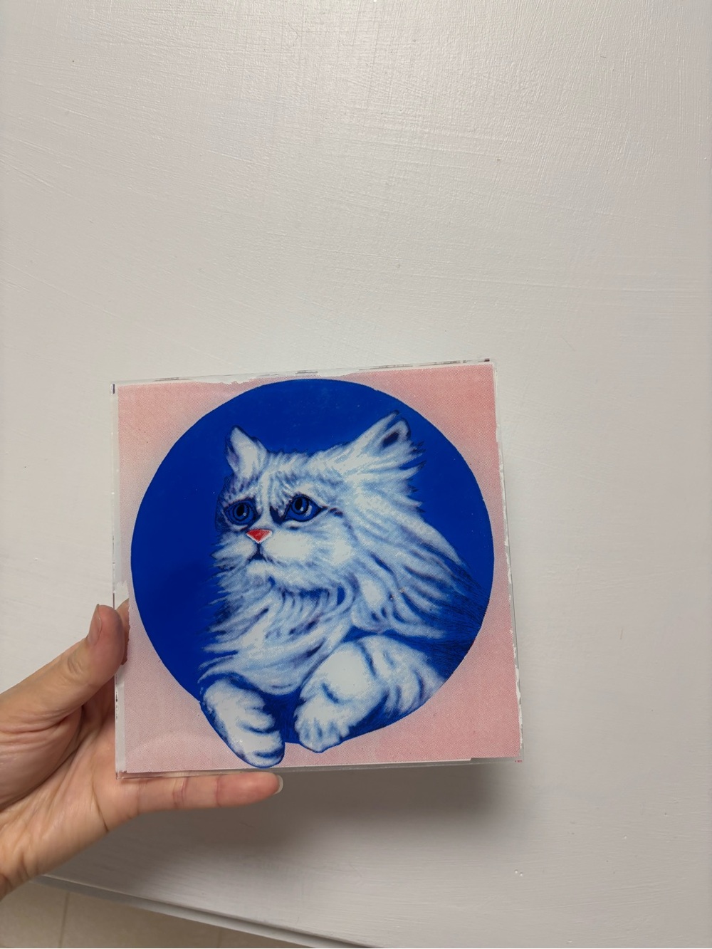 Blank Brand Blue & Pink Cat Glass Art Print - Decorative Pet Wall Accent